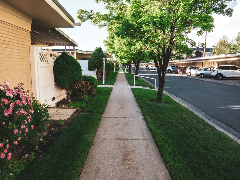 mold removal Indian River Estates