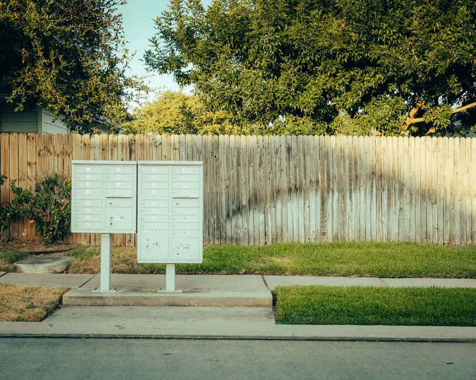 mold removal Palm City
